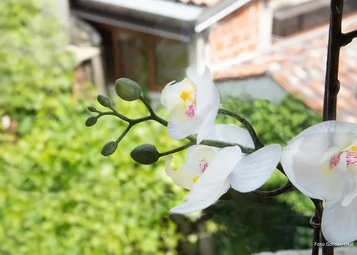 Carera Διαμέρισμα